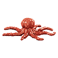 Intestine Heptapus